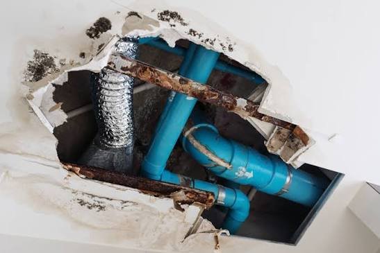 Commercial Water Damage